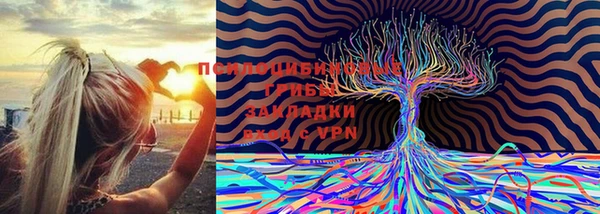 МДПВ Алексеевка